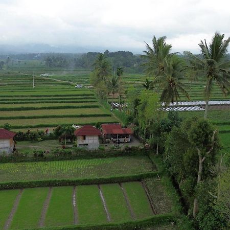 New Rinjani Homestay Tetebatu Extérieur photo
