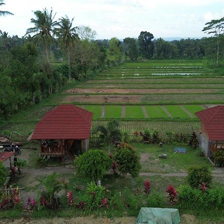 New Rinjani Homestay Tetebatu Extérieur photo