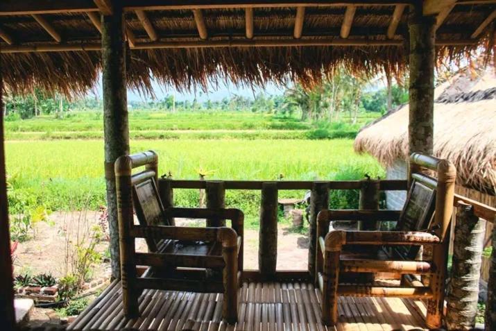 New Rinjani Homestay Tetebatu Extérieur photo