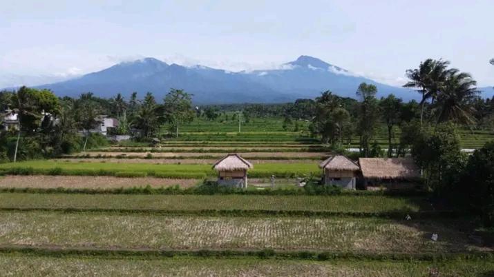 New Rinjani Homestay Tetebatu Extérieur photo