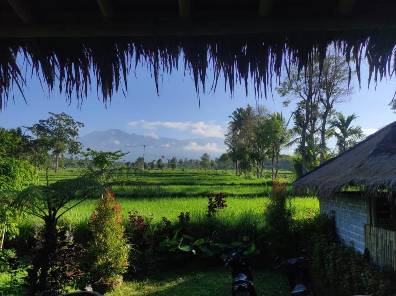 New Rinjani Homestay Tetebatu Extérieur photo