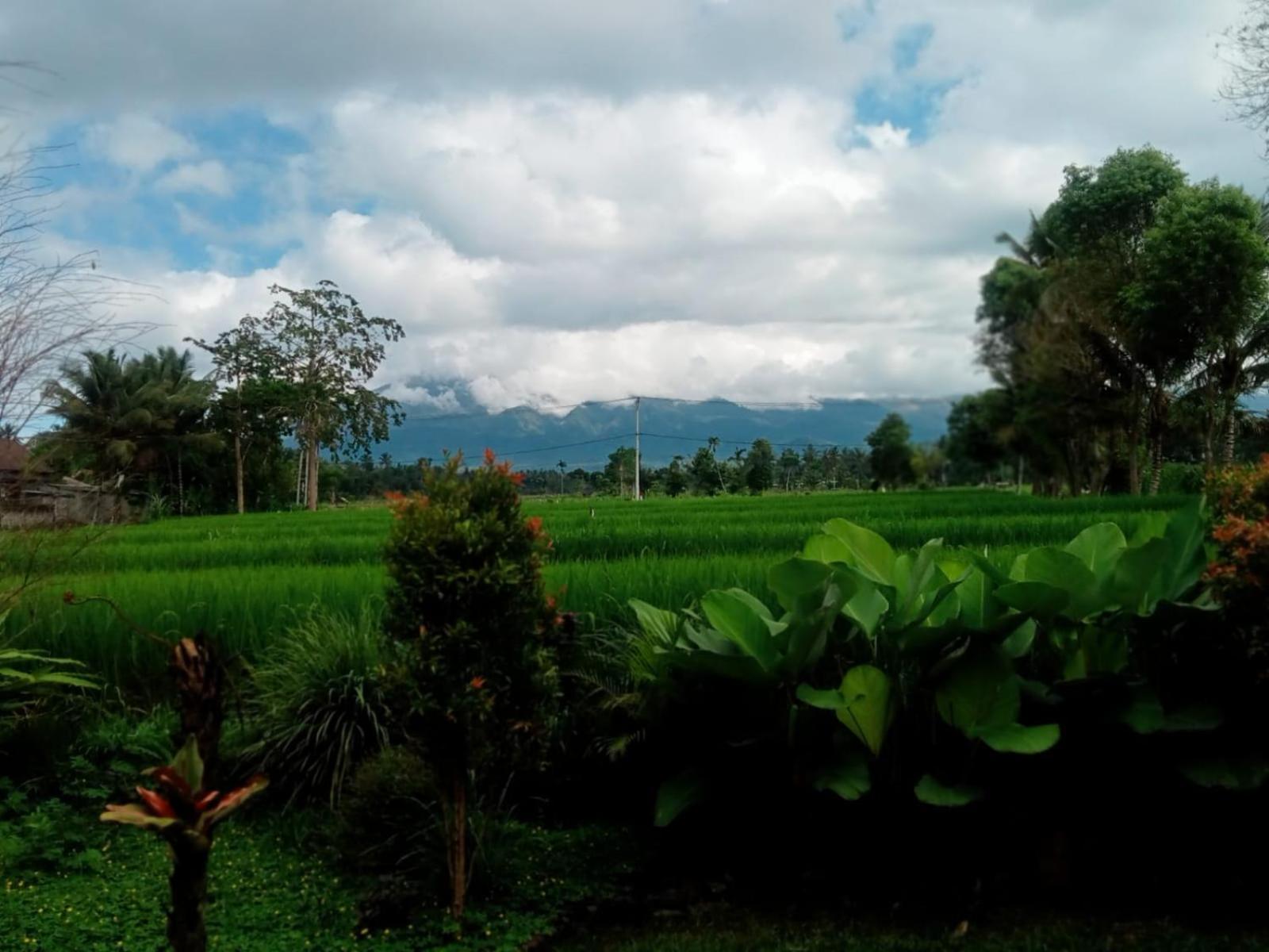New Rinjani Homestay Tetebatu Chambre photo