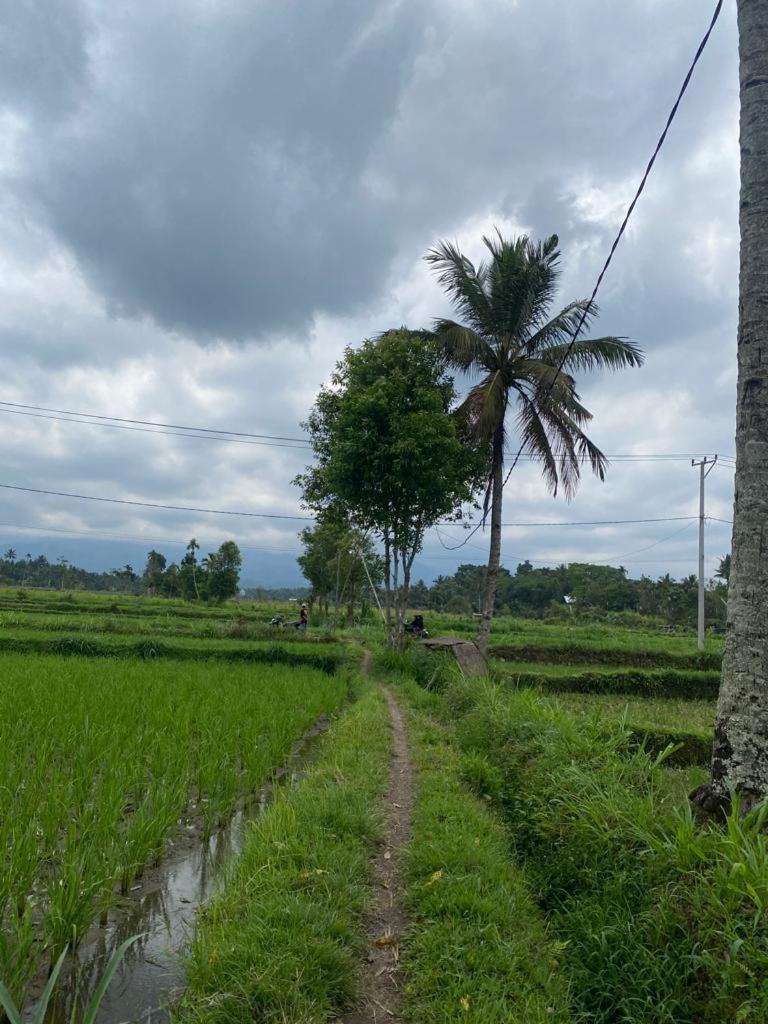 New Rinjani Homestay Tetebatu Chambre photo