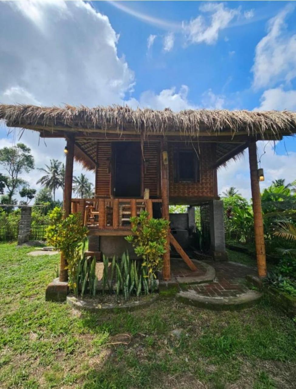 New Rinjani Homestay Tetebatu Extérieur photo
