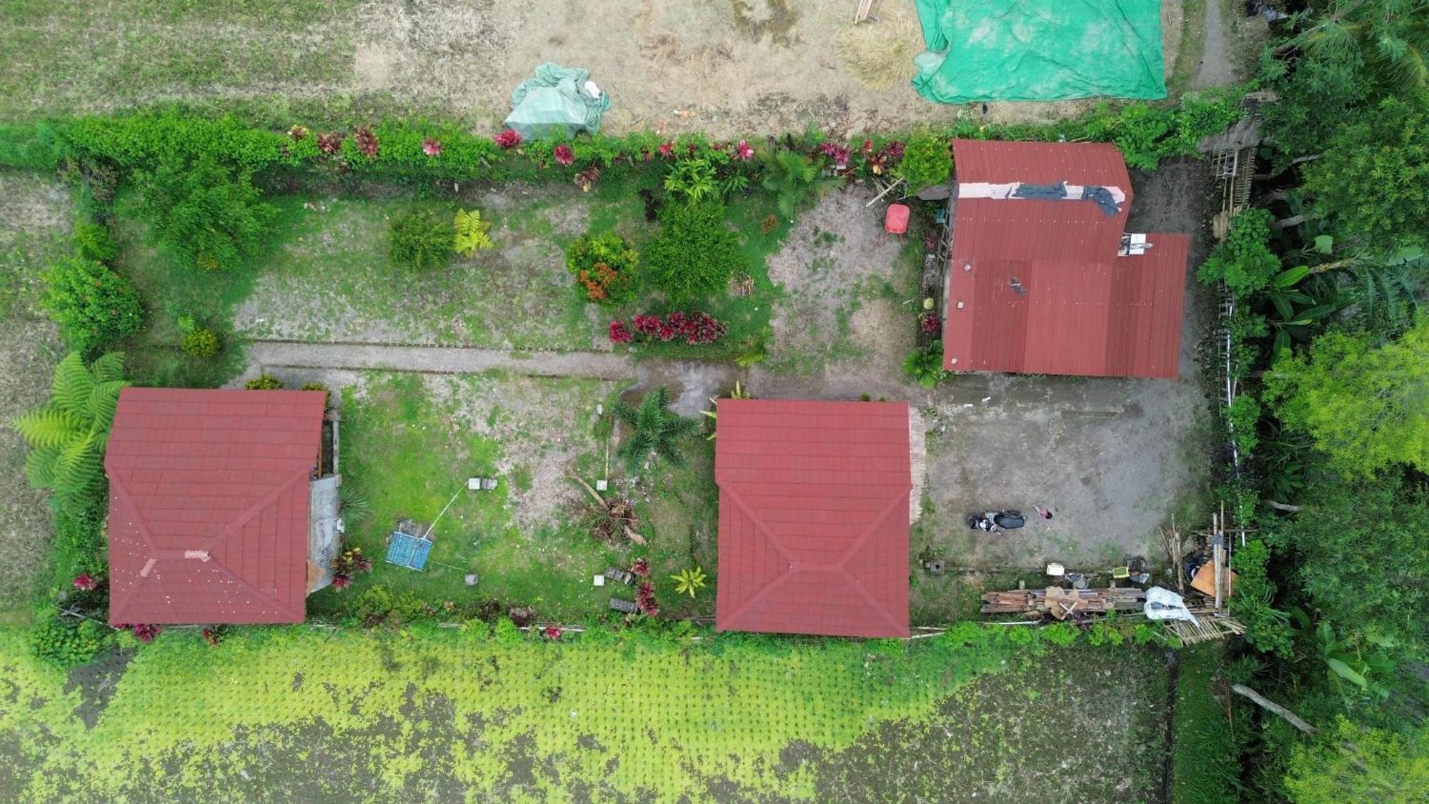 New Rinjani Homestay Tetebatu Extérieur photo